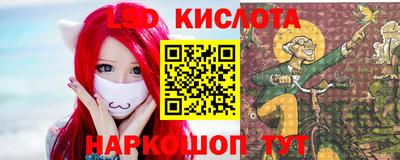 прущие грибы Кандалакша