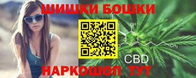 прущие грибы Кандалакша