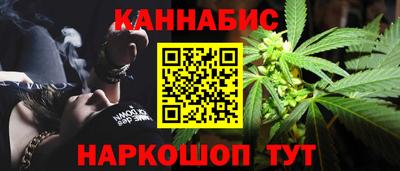 прущие грибы Кандалакша