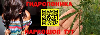 сатива Канаш