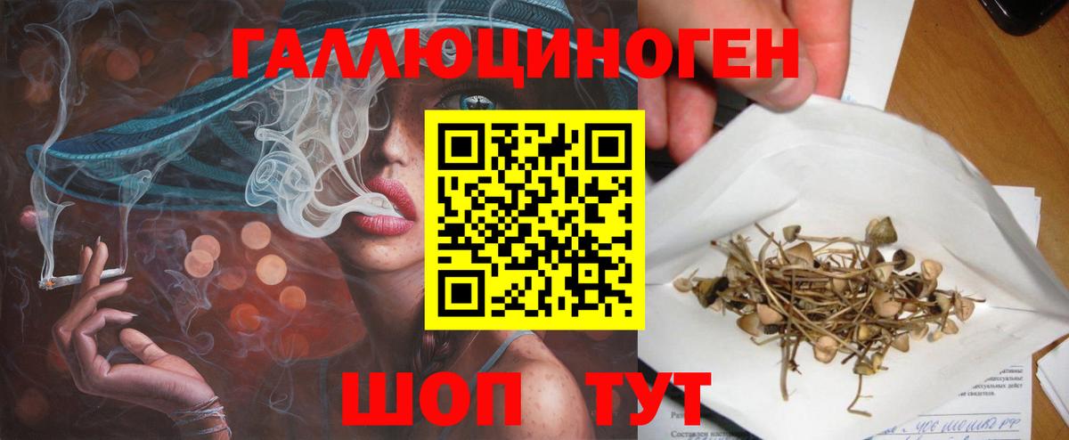 Корсаков  Псилоцибиновые грибы ЛСД  Вход с VPN 